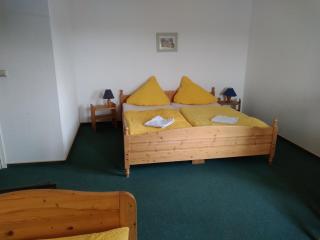 Pension und Gasthof Zur Scheune - Flecken Zechlin - 1