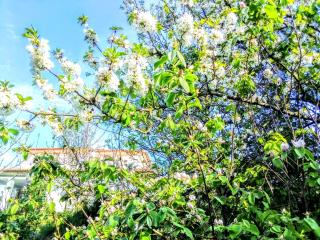 Casa Vale do Rio Ovil - Baião - 7