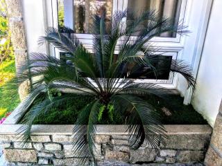 Casa Vale do Rio Ovil - Baião - 3