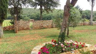 La Tenuta di Castelvecchio - San Gimignano - 8