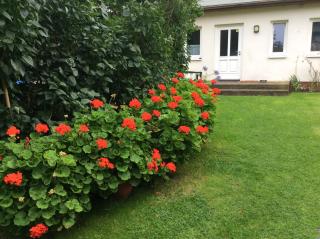 FeWo Wende - Heringsdorf - 5
