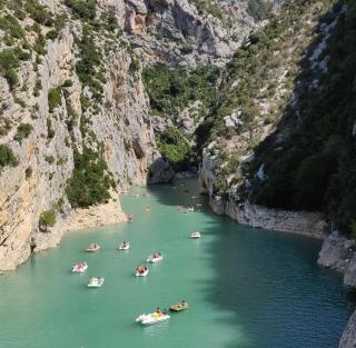 Le Cytise - Caille - 4