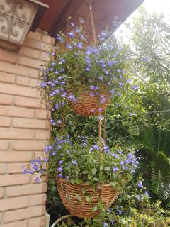 Marco's house - Dolianova - 5