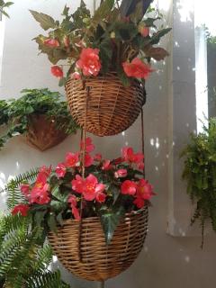 Marco's house - Dolianova - 1