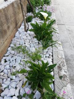 Apartman 2 - Zadar - 5