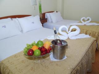 Alejandra Hotel - Chiclayo - 1