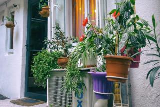 Apartment on Freedom Square Diuma Street - Tbilisi - 3