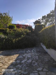 IMMERSA NEL VERDE - Osimo - 8