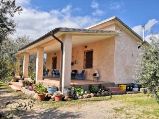 Villa Walter - Oliena - 9