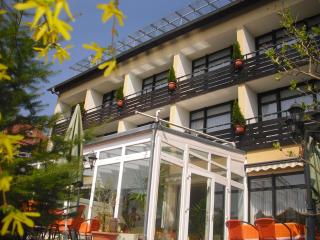 Panorama Hotel Pension Frohnau - Bad Sachsa - 3
