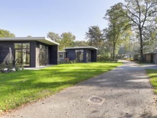Wellness Chalet with smart TV, next to forest - Markelo - 0