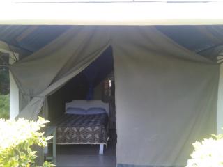 Rhino Tourist Camp - Ololaimutiek - 8