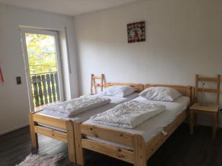Sauerland vakantiehuisje - Diemelsee - 1