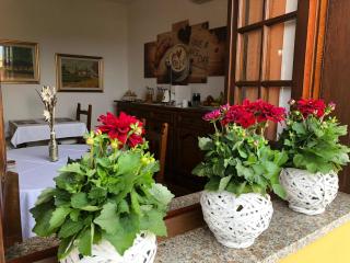 Carpe Diem - Olbia - 1