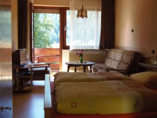 Gasthof Erlenhof - Alpirsbach - 9