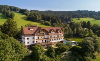 Hotel Schwengerer - Mönichwald - 9