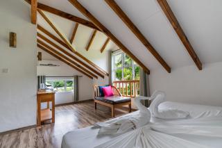 La Modestie Guest House - Grand'Anse Praslin - 6