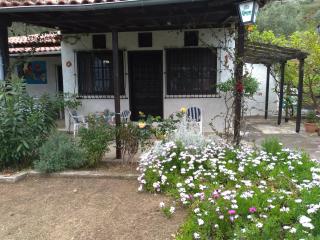 Persefoni house - Áfissos - 0