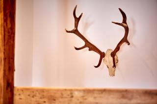 Ferienwohnung zum Servus - Garmisch-Partenkirchen - 3