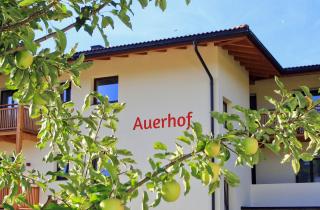 Pension Auerhof - Naz-Sciaves - 1