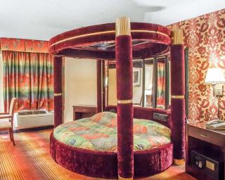 Days Inn by Wyndham Jersey City - Jersey City - 7