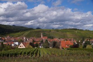 Gite Le Mandlé - Riquewihr - 7