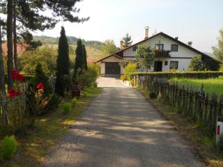 Apartmani Milić - Sirogojno - 5