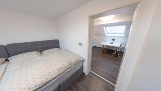 Skyview Studio STP - 3