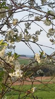 Martine-Hoeve - Euscheid - 9