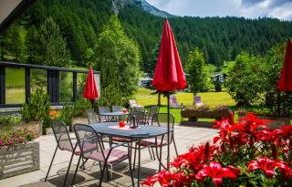 Hotel Alpenhof - Saas-Almagell - 9