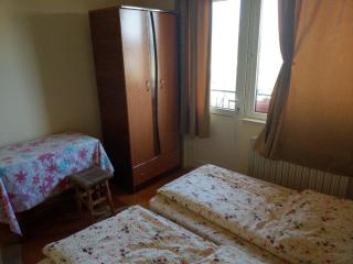 Lary Hostel - Suceava - 3