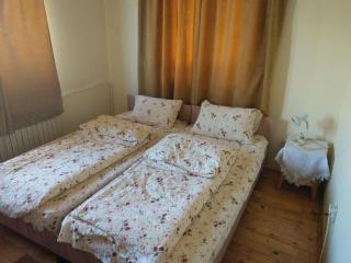 Lary Hostel - Suceava - 4