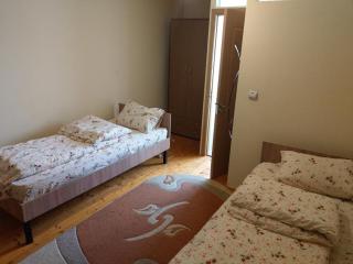Lary Hostel - Suceava - 8