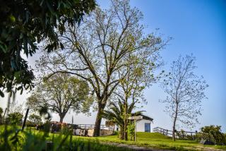 AGRO Sicily - Mascali - 2
