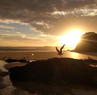 Trevellis Bed and Breakfast - Newquay - 4