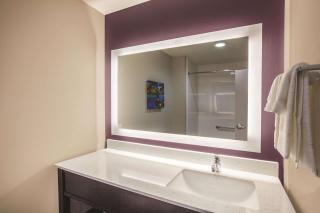 La Quinta by Wyndham Dallas Northeast-Arboretum - Garland - 1