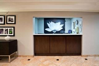 La Quinta by Wyndham Cleveland Macedonia - Macedonia - 7