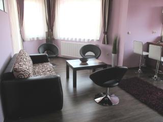 Alpha Apartman Sárvár - Sárvár - 8