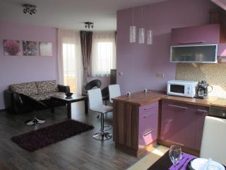 Alpha Apartman Sárvár - Sárvár - 0
