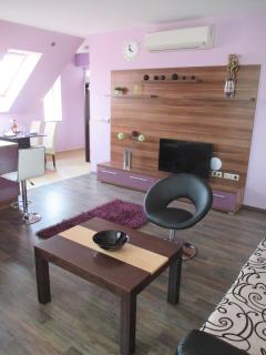 Alpha Apartman Sárvár - Sárvár - 3