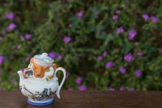 Cheshire Cat Inn & Cottages - Santa Barbara - 6