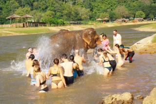 Hotel Wualai by CMStay - Chiang Mai - 3