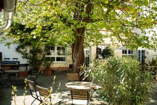 Hotel Herberge zur Traube - Bad Wimpfen - 6