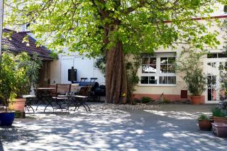 Hotel Herberge zur Traube - Bad Wimpfen - 7