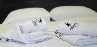 Zlatiborski potok - 0