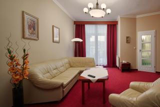 Wellness Hotel Lužan - Rumburk - 4