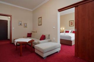 Wellness Hotel Lužan - 1