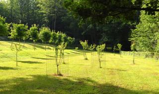 Le Manoir du Rocher - Domme - 5