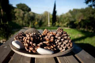 Casa dell'Orto - San Vito Chietino - 5