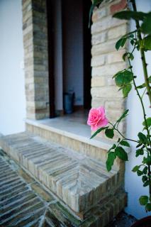 Casa dell'Orto - San Vito Chietino - 3
